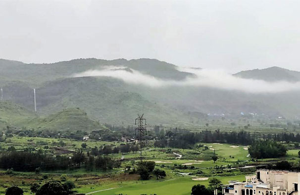 Image Here